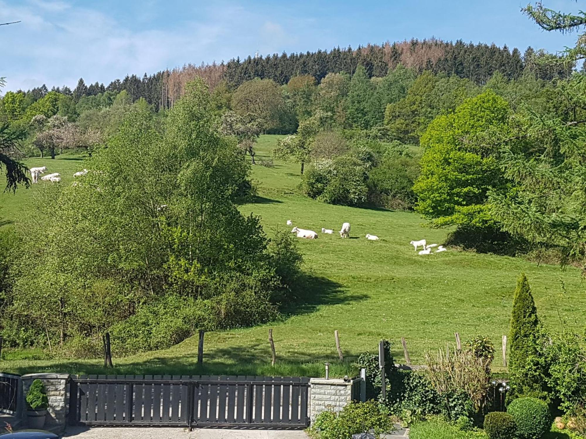 Fewo Am Wald Balve Стая снимка